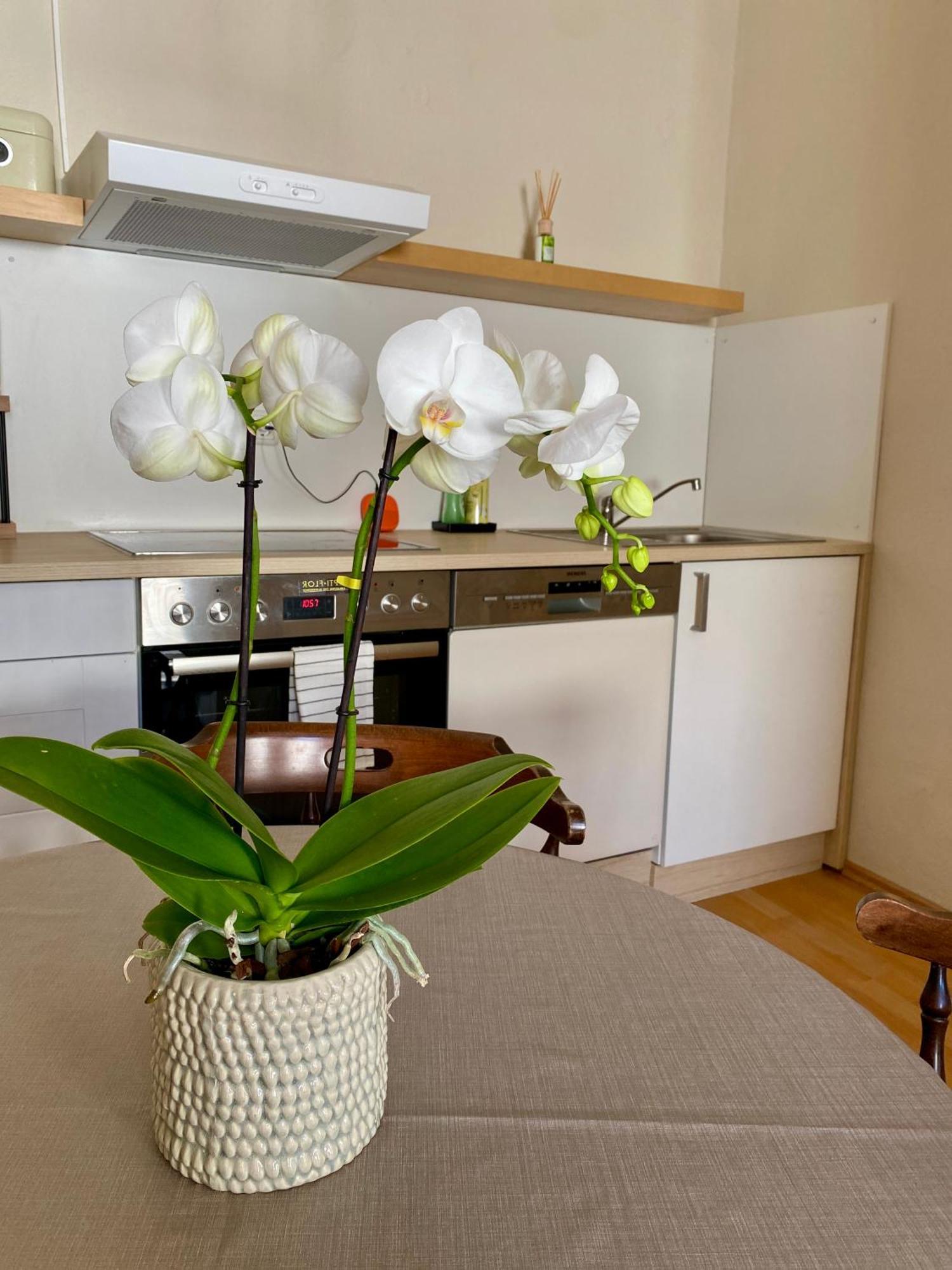 Ba Em City Apartment Wiesbaden Extérieur photo